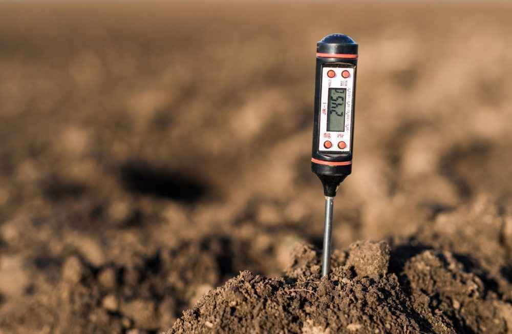 Sludge Sample Analysis